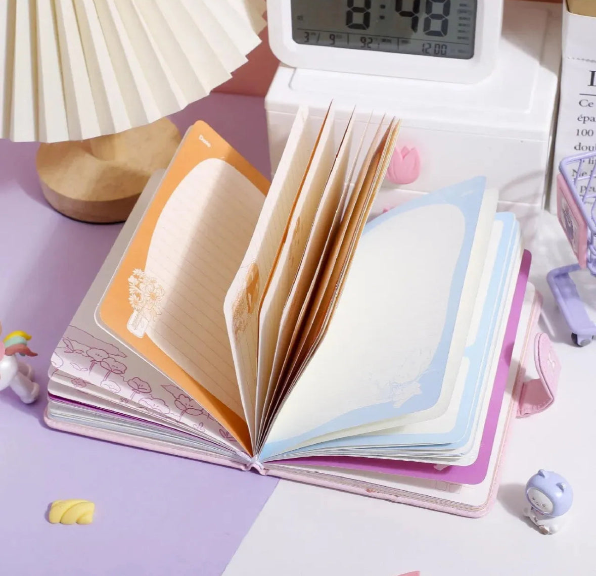 Ninis Diary